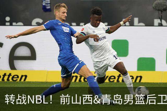 转战NBL！前山西&青岛男篮后卫王洪加盟贵州猛龙俱乐部