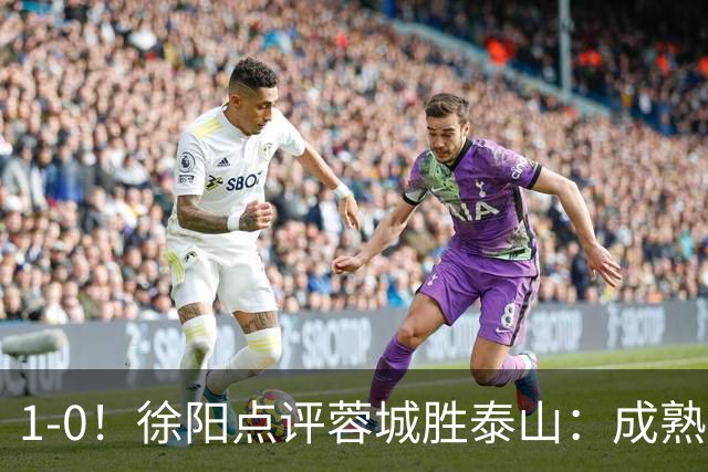 1-0！徐阳点评蓉城胜泰山：成熟与急躁的较量
